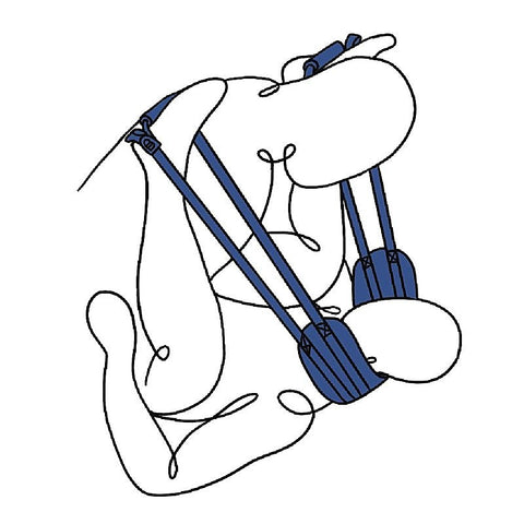 Pivot Deluxe Doggie Strap by Sportsheets