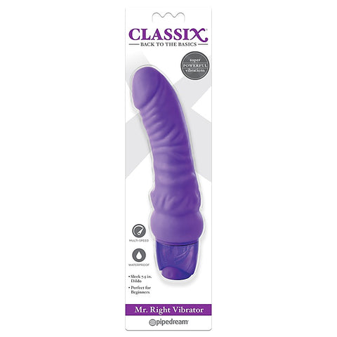 Mr Right Realistic Dildo Vibrator by Pipedream Classix