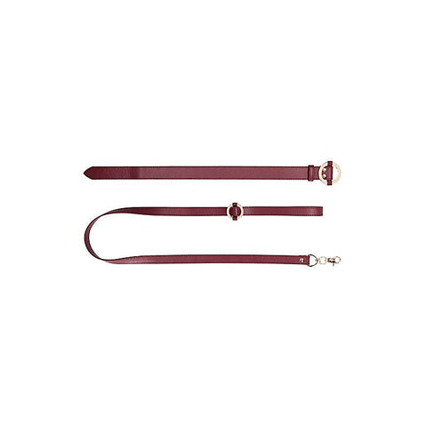 Halo Collar With Leash by Shots Toys