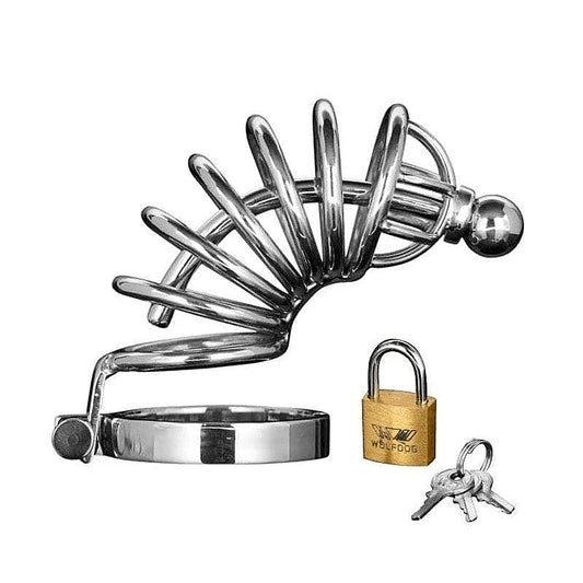Asylum 6 Ring Locking Chastity Cage by XR Brands