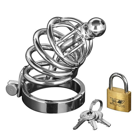 Asylum 4 Ring Locking Chastity Cage by XR Brands