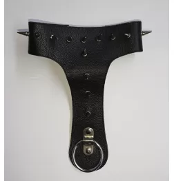 Devils Spiked Leather Collar with O Ring